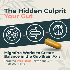Dr. Munnerlyn MigraPro with Probiotics, Brain and Gut Health Support Supplement with Magnesium, Riboflavin, CoQ10, Ginger Root, Asian Ginseng, Vitamin C, Feverfew & Turmeric, Gluten Free, 90 Capsules Dr. Munnerlyn buy supplements Au