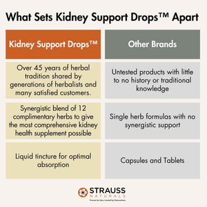 Strauss Naturals Kidney Support Drops - Herbal Kidney Support Supplement for Men and Women - Helps with Kidney Health and Urinary Tract Function - Vegan & Non-GMO - Spearmint Flavored - 100 ml Bottle