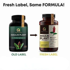 Afiyah Organic - Premium Quality Costus Igneus (Insulin Plant) Capsules - Easy to Swallow 120 Veggie Capsules (1 Month Supply) - Made in the USA - Including Complete Health Support Program Afiyah Organic buy supplements Au