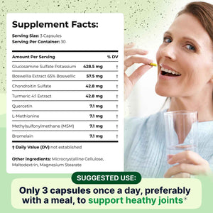 Wellnee Knee & Joint Wellness Bundle - Herbal Patches (30 pcs) & Support Capsules (90 servings)
