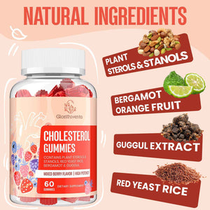 Glorithiventa Cholesterol & Booty Gummies Supplement Bundle - Plant Sterols & Stanols + CurvaBoost BBL Herb Blend & Creatine Monohydrate - Cholesterol Normal Level, Booty, Curves & Energy Glorithiventa buy supplements Au