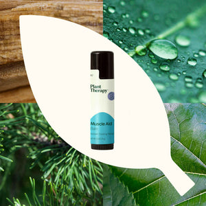 Plant Therapy Muscle Aid Balm .5 oz Soft & Creamy Balm, Cooling Relief, Natural Ingredients