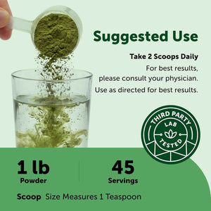 Micro Ingredients Super Greens Powder, 100 Superfoods, Green Drink Mix, 1lb - Superfood Blend with Daily Greens, Probiotics, Fruits, Vegetables & Mushrooms - 45 Servings - Non-GMO, Gluten-Free