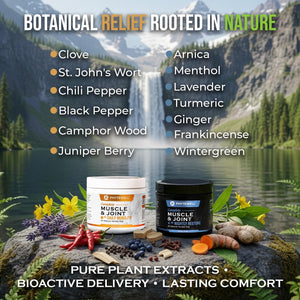 PHYTEWELL Muscle & Joint Rub Balm - Day & Night Pain Relief for Back, Knee, & Shoulder - Crafted with Arnica, Clove & Black Pepper to Support Recovery & Relaxation – Premium Non-Greasy Texture PHYTEWELLBuy Supplements Australia