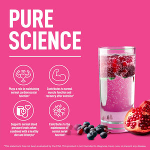 Keppi Electrolytes Powder Packets - Blueberry Pomegranate 30 Servings - No Sugar Hydration Supplement with Potassium, Magnesium, Sodium - Keto, Vegan