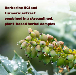 DEAL SUPPLEMENT Berberine Max Supplement with Turmeric, 5000 mg** Per Serving, 240 Vegetarian Capsules - Berberine HCl with Turmeric Root Extract - Non-GMO
