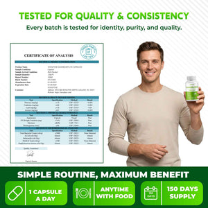 Dandelion Milk Thistle Artichoke Burdock Turmeric - Support Liver Health, Support Digestive Aid