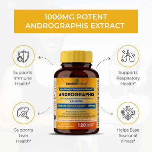Andrographis Paniculata Kalmegh for Immune and Liver Health Support - 120 Vegetarian Capsules, 2 Months Supply - Ayurvedic Herbal Vegetarian Supplement Complex