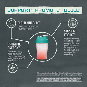 Creatine Monohydrate Powder Micronized PreWorkout Recovery Supplement - Support Muscle Building Strength Training Cognition - Vegan & Keto Friendly Easily Mixes