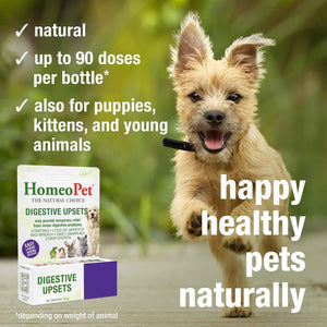 HomeoPet Digestive Upsets, Supplement for Dogs and Cats, 15 Milliliters - Natural digestive support for cats, dogs, and other pets, safe homeopathic formula, liquid drops suitable for daily use