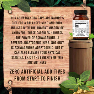 Santa Cruz Paleo Ashwagandha Capsules, 600mg Ashwagandha Root per Capsule, Gluten Free, Keto, Sugar Free, Paleo, Supports Energy, Focus, and Relaxation, BioPerine for Fast Absorption, 60 Capsules