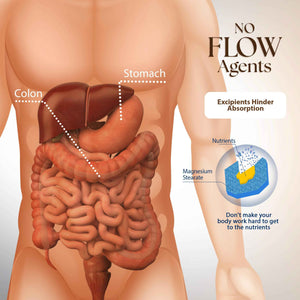 Dr. Clark Inulin Powder (FOS) - Prebiotic Soluble Fiber for Gut Health, 300g - Supports Digestive Health & Regularity
