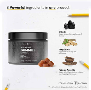 Formulation Factory Self Obsessed Shilajit Gummies x Primal Power (Bundle) - Men's Botanical & Ancestral Vitality Stack with Shilajit, Tongkat Ali, Grass-Fed Beef Liver, Heart & Bone Marrow