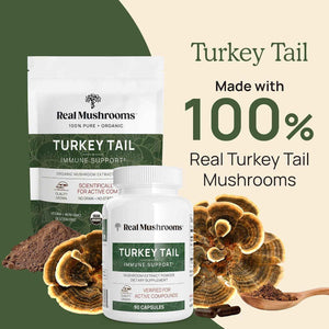 Reishi 415 Longevity Capsules (90ct), Turkey Tail Mushroom Extract Immune Support (90ct), Chaga Extract Mushroom Supplement (120 caps)