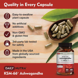 DailyNutra KSM 66 Ashwagandha (90 Capsules) and Mushroom Cacao Mix (16oz) Bundle for Relaxation and Focus
