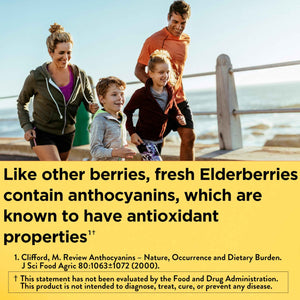 Nature Made Elderberry Gummies with Vitamin C and Zinc, Dietary Supplement for Immune Support