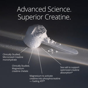 Qualia Creatine | Advanced Creatine Complex | 2 Sources + Magnesium | Optimized Absorption | Muscle Performance, Brain Function, & Healthy Aging (30 Servings) QUALIA LIFE SCIENCES buy supplements Au