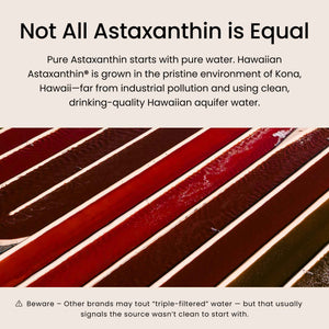 Nutrex Hawaii BioAstin Hawaiian Astaxanthin - 12mg, 90 Softgels - Farm-Direct Premium Antioxidant Supplement to Support Eye, Skin