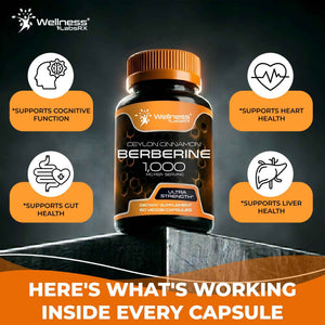 WELLNESS LABSRX Berberine 1,000mg - Third-Party Tested Berberine Supplement HCL with Ceylon Cinnamon, Black Pepper Extract and Apple Cider Vinegar, Heart Support Capsules - 240 Capsules - Pack of 2