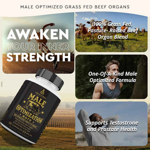 Ancestral Supplements Beef Liver & Mofo Bundle for Men - Supports Energy, Strength, Hormone Health & Vitality - Grass Fed, Pasture Raised Beef Organ Multivitamin with Targeted Nutrients