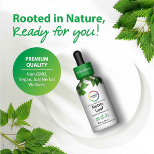 Rainbow Light Nettle Leaf Extract - 2 Fl Oz - Super Concentrated - Alcohol Free - Non-GMO and Gluten Free Herbal Supplement