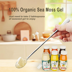 USMIRALAB Wildcrafted Sea Moss Gel for Purists: 6-Flavor Ritual Set (36oz) with Antioxidant Ocean Minerals | Pure Superfood Base Vegan USMIRALABBuy Supplements Australia