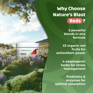 NATURES BLAST Reds - Metabolism and Energy Superfood Powder with 23 Red Fruits, 4 Adaptogens, Probiotics & Enzymes - Vegan Antioxidant Blend, 1 Bottle NATURES BLASTBuy Supplements Australia