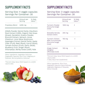SUBSTANCE. - Ultimate Wellness Bundle | Daily Superfood Nutrition & Joint Support | Greens, Fruits & Veggies + Nature’s Relief | Boost Energy, Mental Clarity & Mobility | Vegan, Non-GMO (30 Servings) SUBSTANCE. buy supplements Au