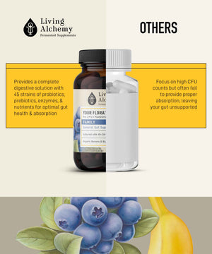 Your Flora Probiotic Family - Non-GMO Probiotics with Fermented Soybean, Banana, & Blueberry for Digestion & Gut Support - Prebiotics, Postbiotics, Digestive Enzymes - Living Alchemy, 60 Capsules