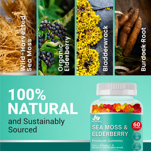 BIO VITALICA Irish Sea Moss Gummies with Elderberry – USA Made Vegan Gummies with Vitamin C, D & Zinc – Immune Support Supplement with Bladderwrack & Burdock Root for Adults & Kids – 3 Packs BIO VITALICABuy Supplements Australia