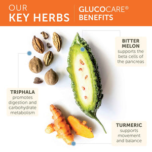 Himalaya GlucoCare - Herbal Glucose Metabolism & Pancreatic Support with Bitter Melon, Gymnema, Triphala & Turmeric - Natural Blood Sugar Support