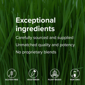 Vibrant Health, U.T. Vibrance Powder, Crisis Intervention for Urinary Tract Health, 10 Servings Vibrant HealthBuy Supplements Australia