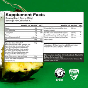 BARE PERFORMANCE NUTRITION BPN Strong Greens Superfood Powder, Strong Joints & Strong Multi-Vitamin Bundle BARE PERFORMANCE NUTRITION buy supplements Au