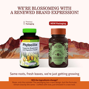 Herbs Etc. Phytocillin - Respiratory & Digestive Health Support Supplement - Herbal Formula to Support Digestion - Support Healthy Breathing - 120 Softgels (120 Servings) Herbs Etc.Buy Supplements Australia