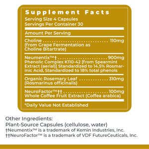 Premier Research Labs Cognitropic - Brain Supplements for Memory and Focus, Focus Supplement, Brain and Memory Power Boost, Clarity Vitamins for Brain, Memory Support - 120 Vegetarian Capsules Premier Research LabsBuy Supplements Australia