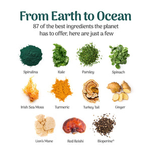 Earth Powder Daily Foundational Nutrition Supplement with 28 Greens & 10 Mushrooms | 87 Nutrients for Energy, Gut Health & Mental Clarity Earth Powder buy supplements Au
