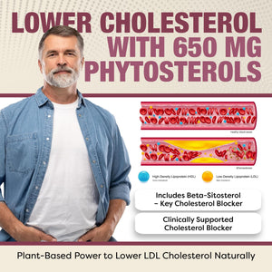 Advanced Cholesterol Health Complex with Plant Sterols. Cholesterol & Lipid Support Supplement for Healthy Heart & Cholesterol Levels for Men & Women. 120 Capsules RHP buy supplements Au