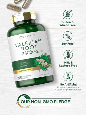 Carlyle Valerian Root Extract Supplement - 240 Capsules - Traditional Herbal Formula - Non-GMO & Gluten Free
