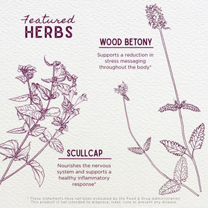 WishGarden Herbs Serious Relaxer, Liquid Herbal Muscle Relaxant with Wild Lettuce & Valerian Root, Eases Neck & Shoulder Tension, Tense Muscles, Muscle Spasms & Restless Legs, Non-GMO, Vegan, 4oz WishGardenBuy Supplements Australia
