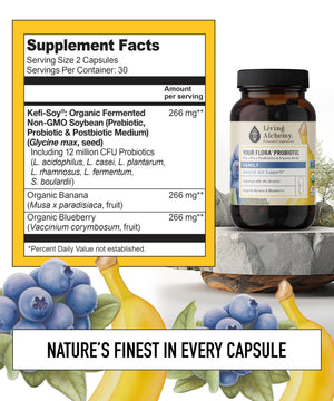 Your Flora Probiotic Family – Non-GMO Probiotics with Fermented Soybean, Banana, & Blueberry for Digestion & Gut Support – Prebiotics, Postbiotics, Digestive Enzymes – Living Alchemy, 60 Capsules Living Alchemy buy supplements Au