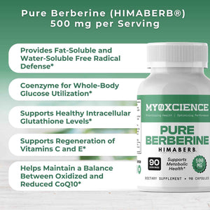 MYOXCIENCE Pure Berberine Himaberb - 500 mg of Berberine HCl per Serving - 90 Servings