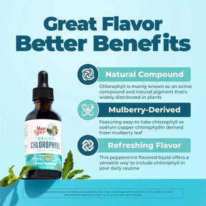 MARYRUTH'S Chlorophyll Liquid Drops - Clean Label Project Certified - Vegan - Non-Diluted Liquid Chlorophyll - Mulberry Derived Supplement for Ages 14+ - Non-GMO - Delicious Minty Flavor - 2 Fl Oz