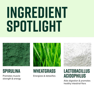 Vibrant Health, Green Vibrance, Superfoods Powder with 70+ Plant-Based Whole Foods & 25 Billion Probiotics Per Serving, Blueberry Lemon, 25 Servings