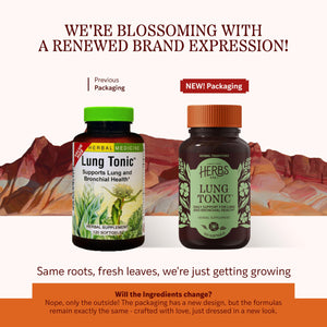 Herbs Etc. Lung Tonic - Lung Supplement for Bronchial Support - Healthy Breathing Support with Mullein, Horehound & Grindelia - 120 Softgels Herbs Etc.Buy Supplements Australia