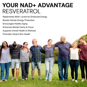 NAD+ Resveratrol Supplement with Quercetin – NMN Alternative for Cellular Energy Support, Focus & Healthy Aging – High Potency 500mg NAD+ Formula, Vegan, Non-GMO, Gluten-Free, Made in USA, 60 Capsules Active Bounty buy supplements Au