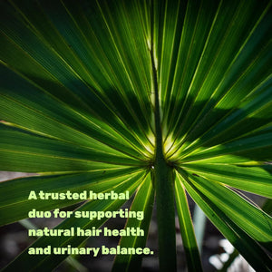 Saw Palmetto Supplement with Pumpkin Seed, 300 Capsules - Promotes Prostate Health - DHT Blocker - Hair Growth Vitamins, Maintain Normal Urinary Frequency