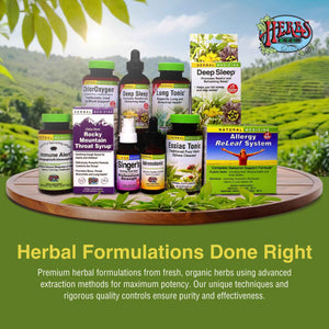 Herbs Etc. Phytocillin - Respiratory & Digestive Health Support Supplement - Herbal Formula to Support Digestion - Support Healthy Breathing - 120 Softgels (120 Servings)