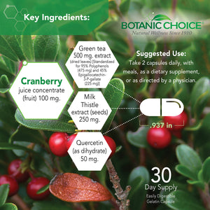 Botanic Choice Ultra Kidney Complex - Optimal Kidney Support with Milk Thistle, Green Tea & More- 60 Capsules Botanic ChoiceBuy Supplements Australia