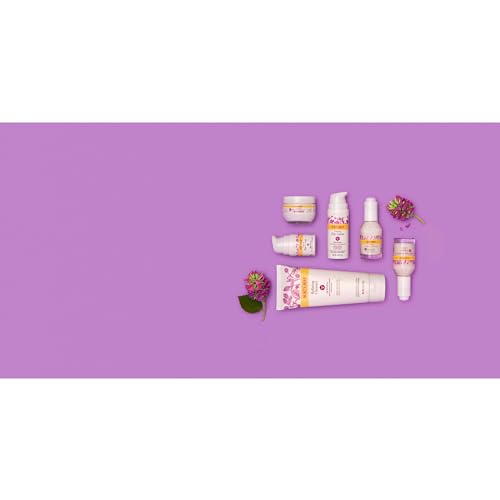 Burt's Bees Renewal Firming Face Cream (1.8 oz) - Natural Retinol Alternative (Bakuchiol) Anti-Aging Moisturizer