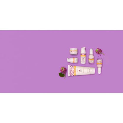 Burt's Bees Renewal Firming Face Cream (1.8 oz) - Natural Retinol Alternative (Bakuchiol) Anti-Aging Moisturizer